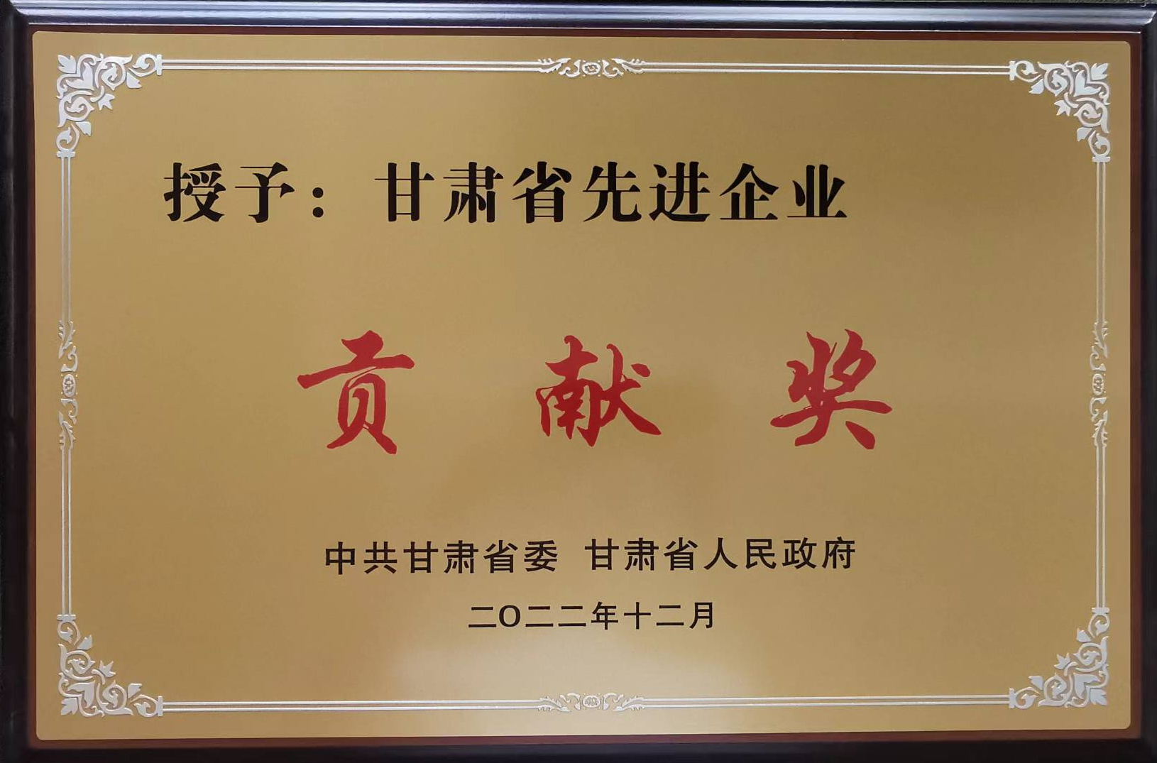 甘肅省先進企業(yè)貢獻獎